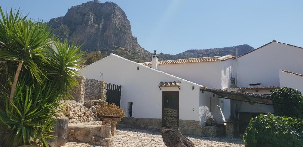 エル・ガストル Cortijo El Pajarゲストハウス エクステリア 写真