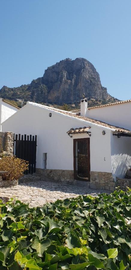 エル・ガストル Cortijo El Pajarゲストハウス エクステリア 写真